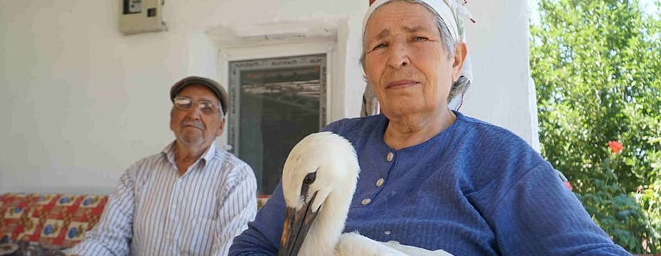 Storks Rejoin Their Granny Meryem