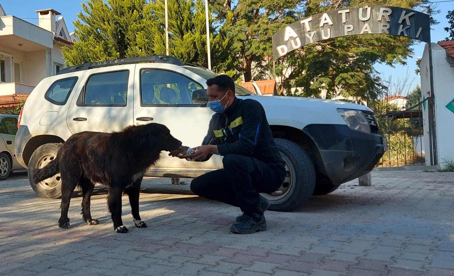 Canlılara Duyarlılık Bağış ve Yardım Kampanyası