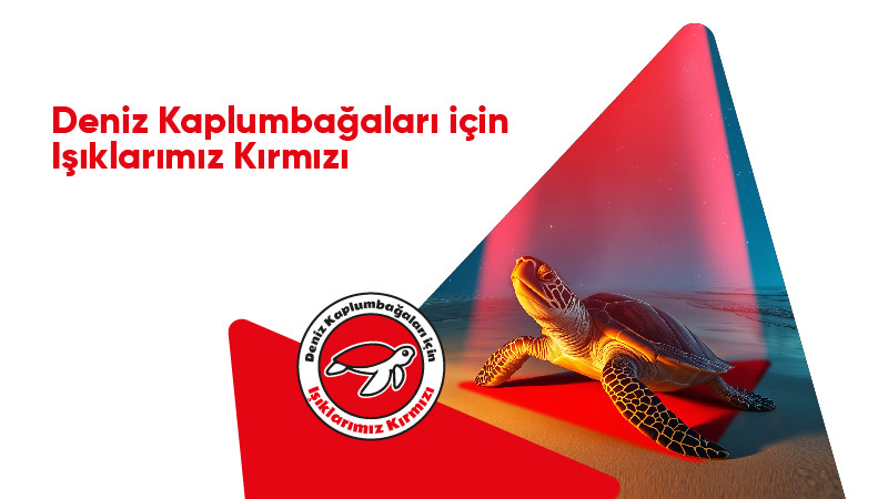 Deniz Kaplumbağaları İçin Işıklarımız Kırmızı